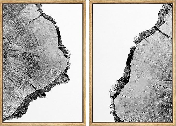 SIGNFORD Canvas foto's, zwart-wit boom ring – kavel bij Openbare Verkopen, Brugge