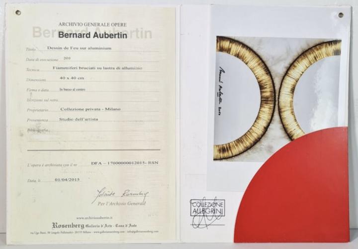 Bernard aubertin: dessin sur feu sur alluminium – kavel bij Openbare Verkopen, Wielsbeke