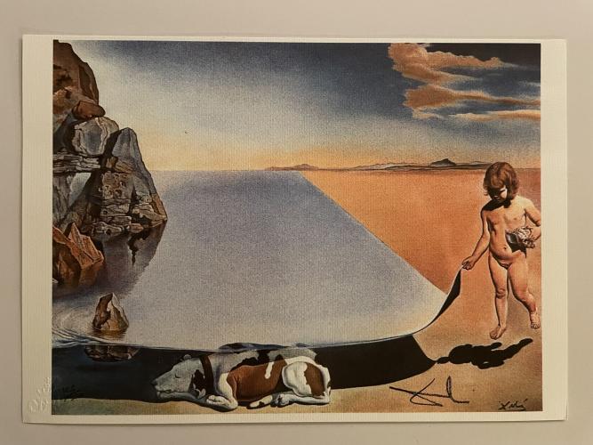Salvador dali – kavel bij Openbare Verkopen, Wielsbeke