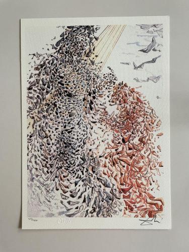 Salvador dali – kavel bij Openbare Verkopen, Wielsbeke