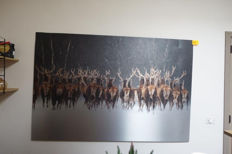 Wanddecoratie – kavel bij Openbare Verkopen, Waregem