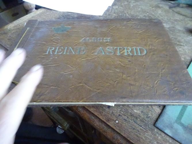 Reine Astrid cote d'or – kavel bij Openbare Verkopen, Izegem