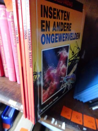 ARTIS rood 4x – kavel bij Openbare Verkopen, Izegem