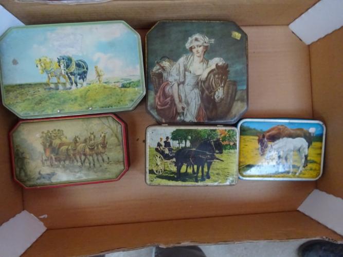 5 blikken dozen paarden – kavel bij Openbare Verkopen, Izegem