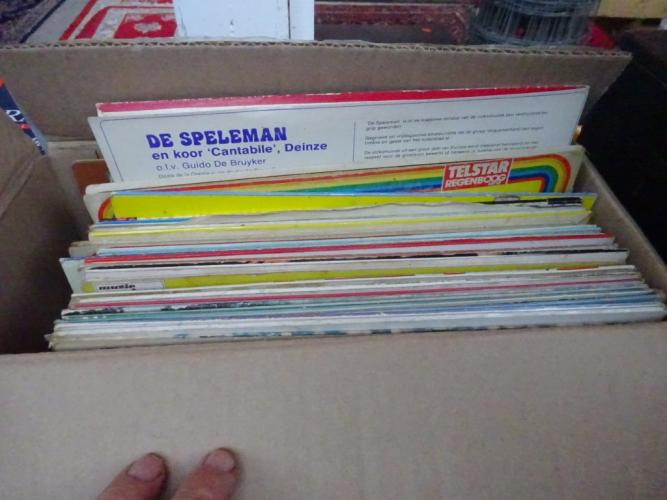 Lot LP's Nederlandstalig – kavel bij Openbare Verkopen, Izegem